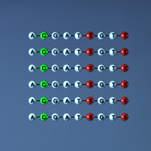 Detection_HG_grau_duplicated