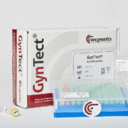 GynTect – der Test auf Gebärmutterhalskrebs GynTect bei Auffälligkeiten in der Gebärmutterhalskrebsvorsorge